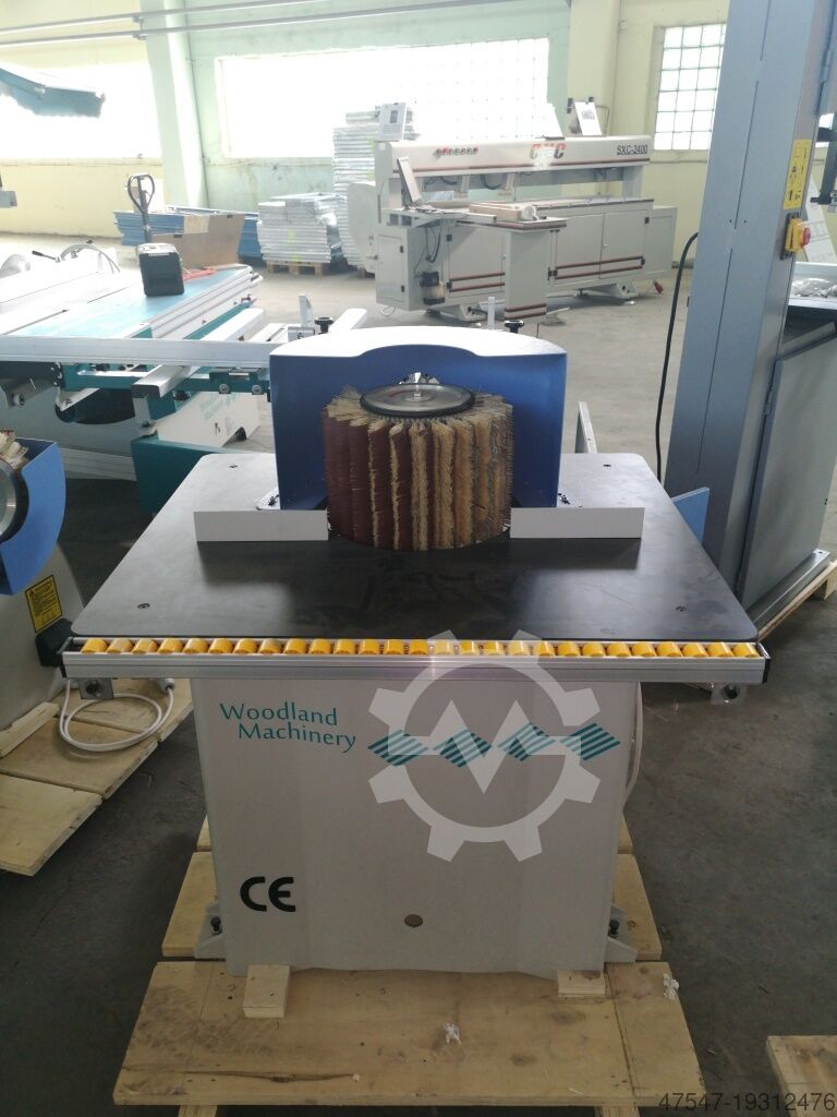 Brushing machine WOODLAND MACHINERY DTL-20A modified