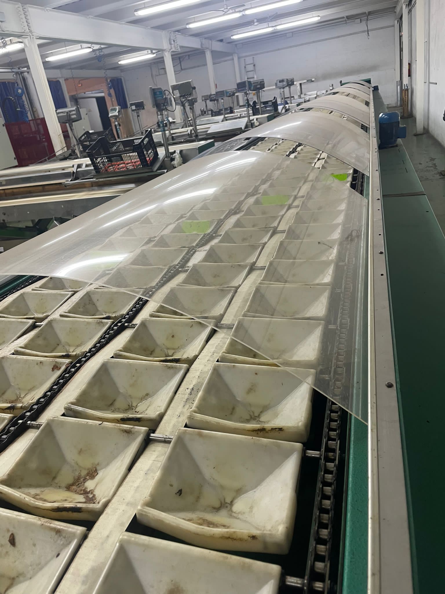 Calibrateur de poids de diamètre de couleur Greefa à 4 lignes avec 12 sorties et 6 établis doubles de 2004