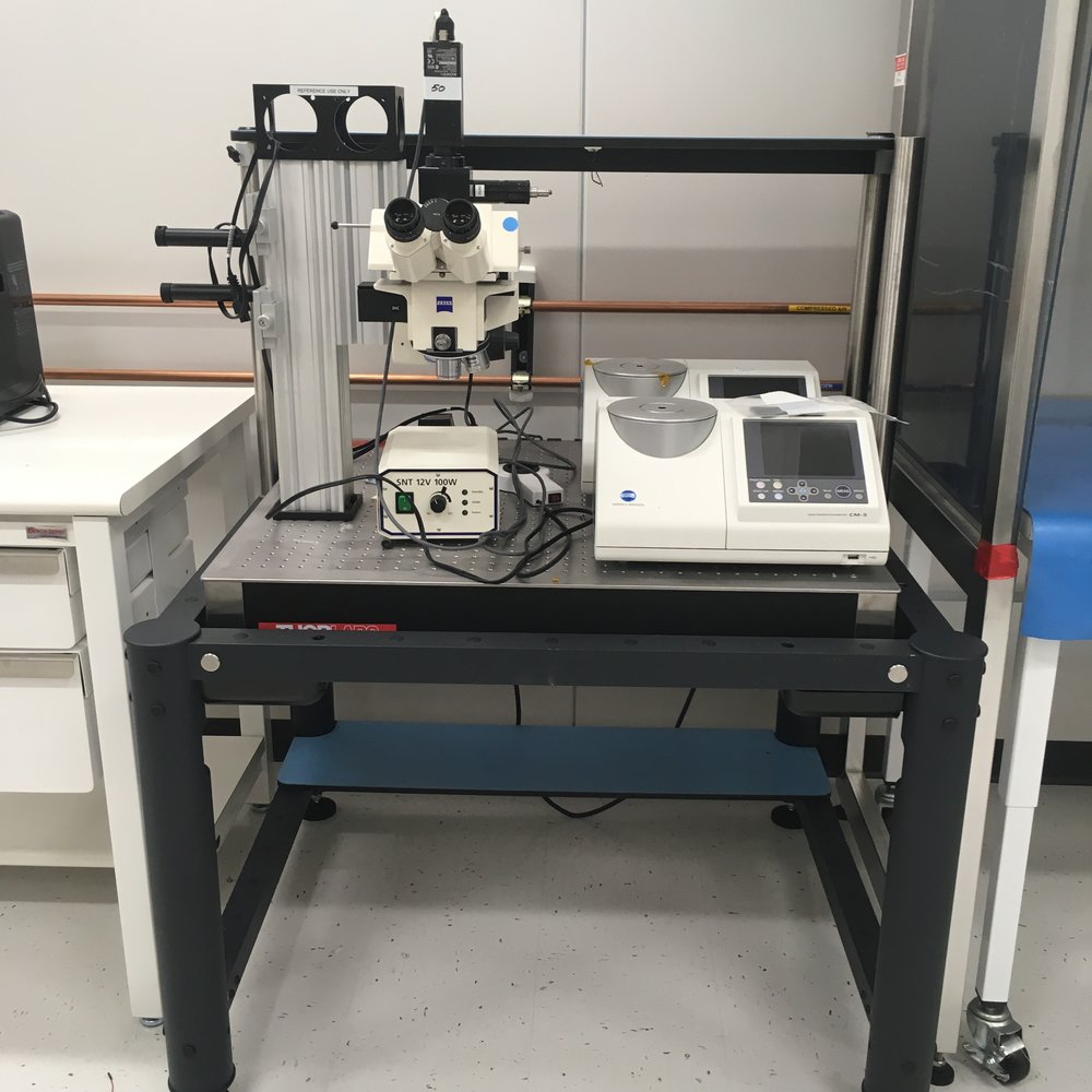Microscope Carl Zeiss Axiotech VARIO 100HD