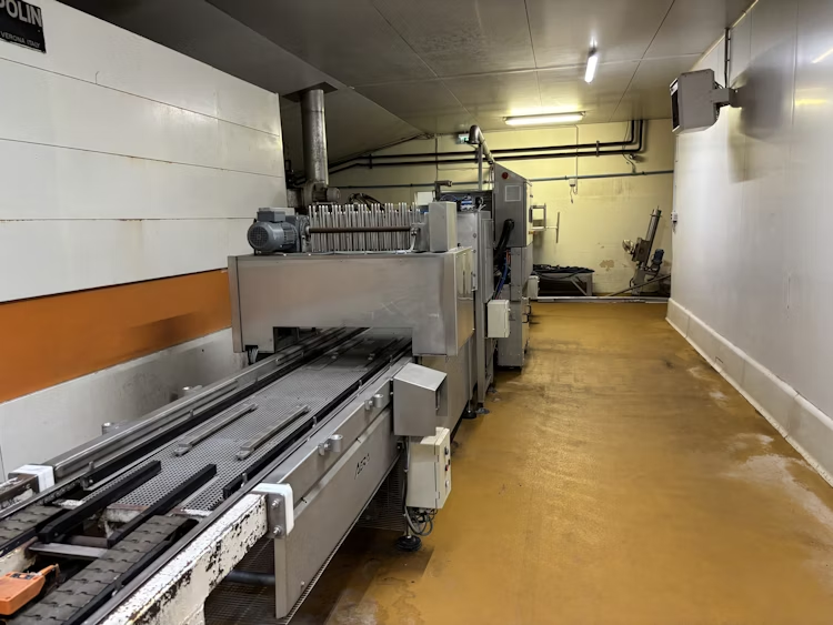 Four tunnel, démouleur pneumatique et tapis de refroidissement - Polin