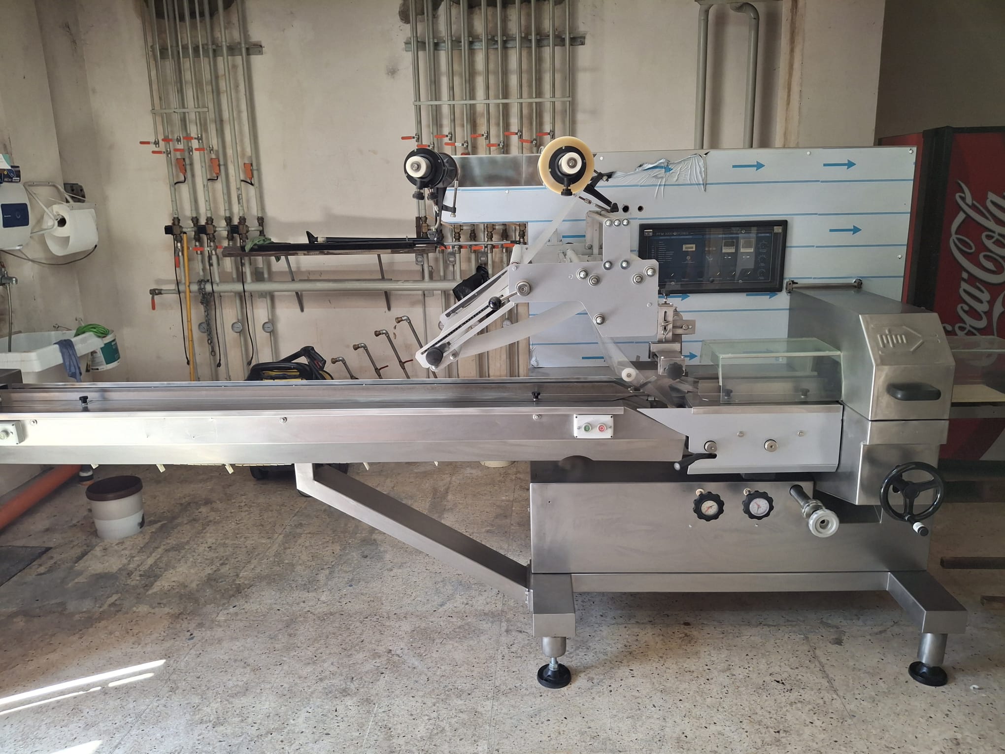 Ensacheuse flowpack Pfm 3000