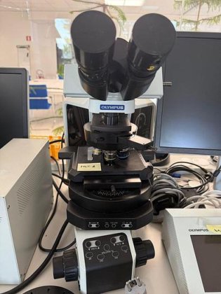 Microscope Olympus BX3-CBH