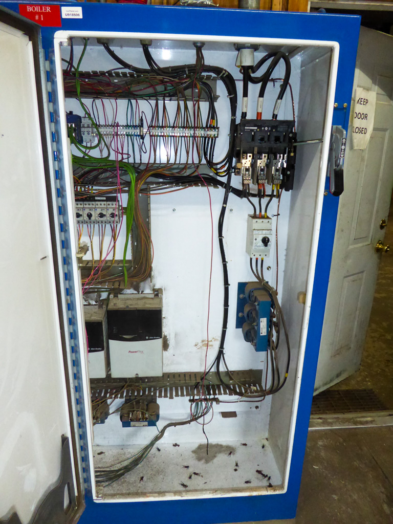 Photo 3