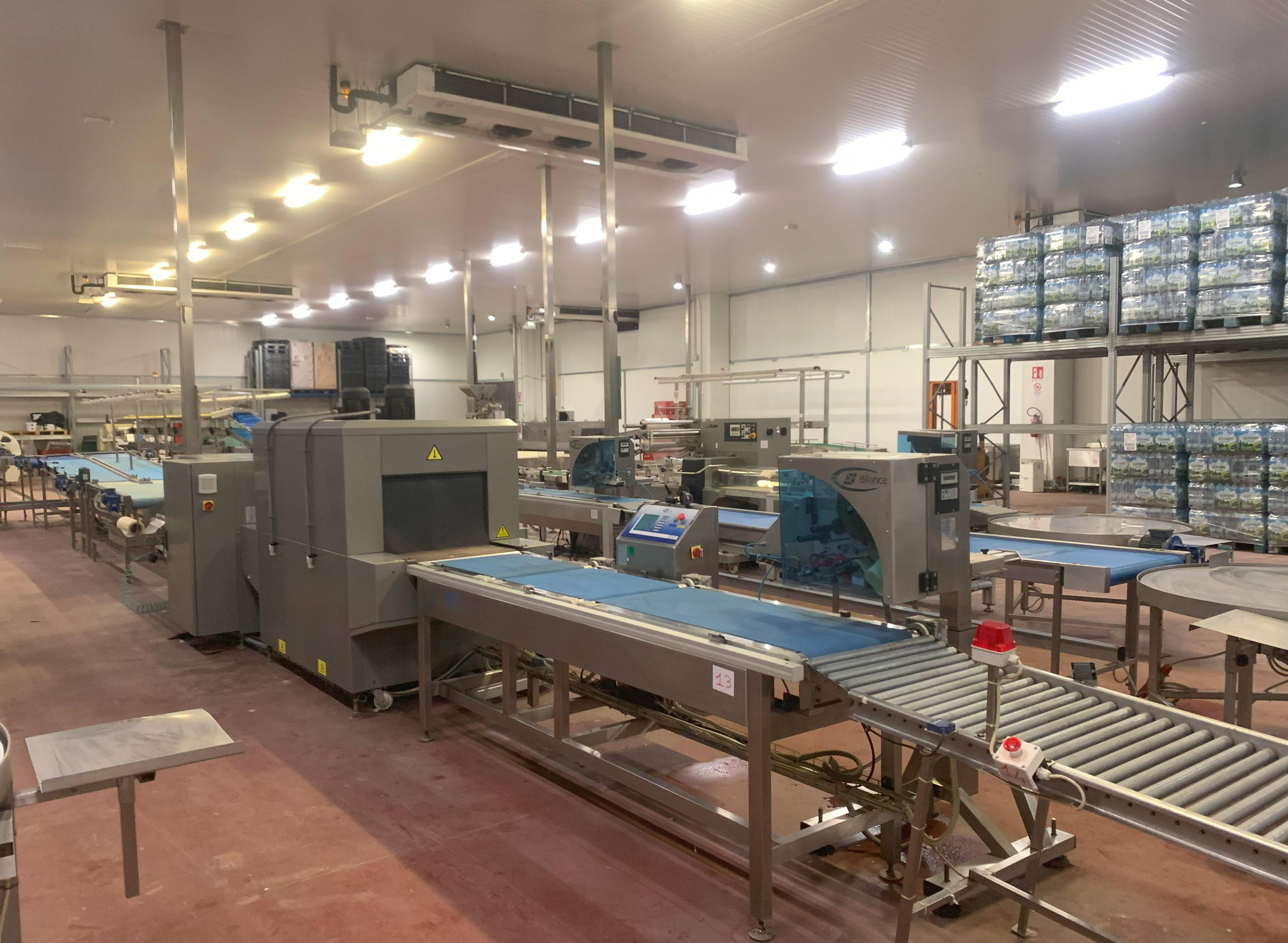 Machine de découpe, lavage et blanchiment de fruits et légumes ULMA Fruit And Vegetable Packaging Line