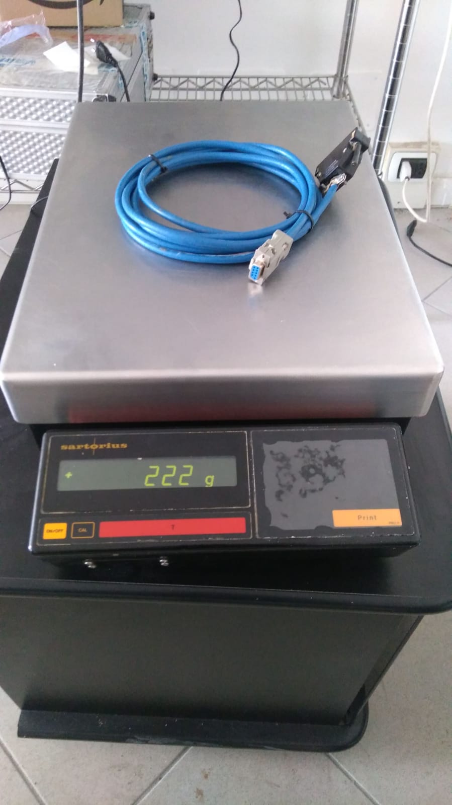 SARTORIUS IB31