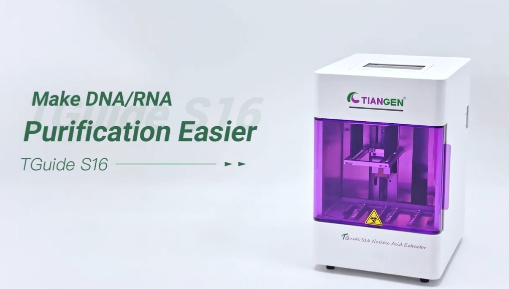 Extracteur d'acides nucléiques Tiangen Tguide s16