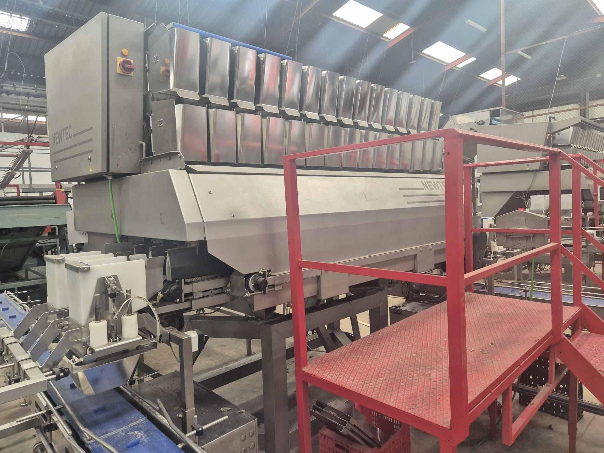 Newtec tray weigher and filler year 2019