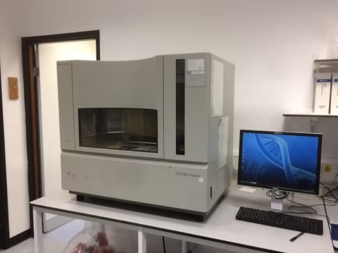 Système PCR ABI 3730