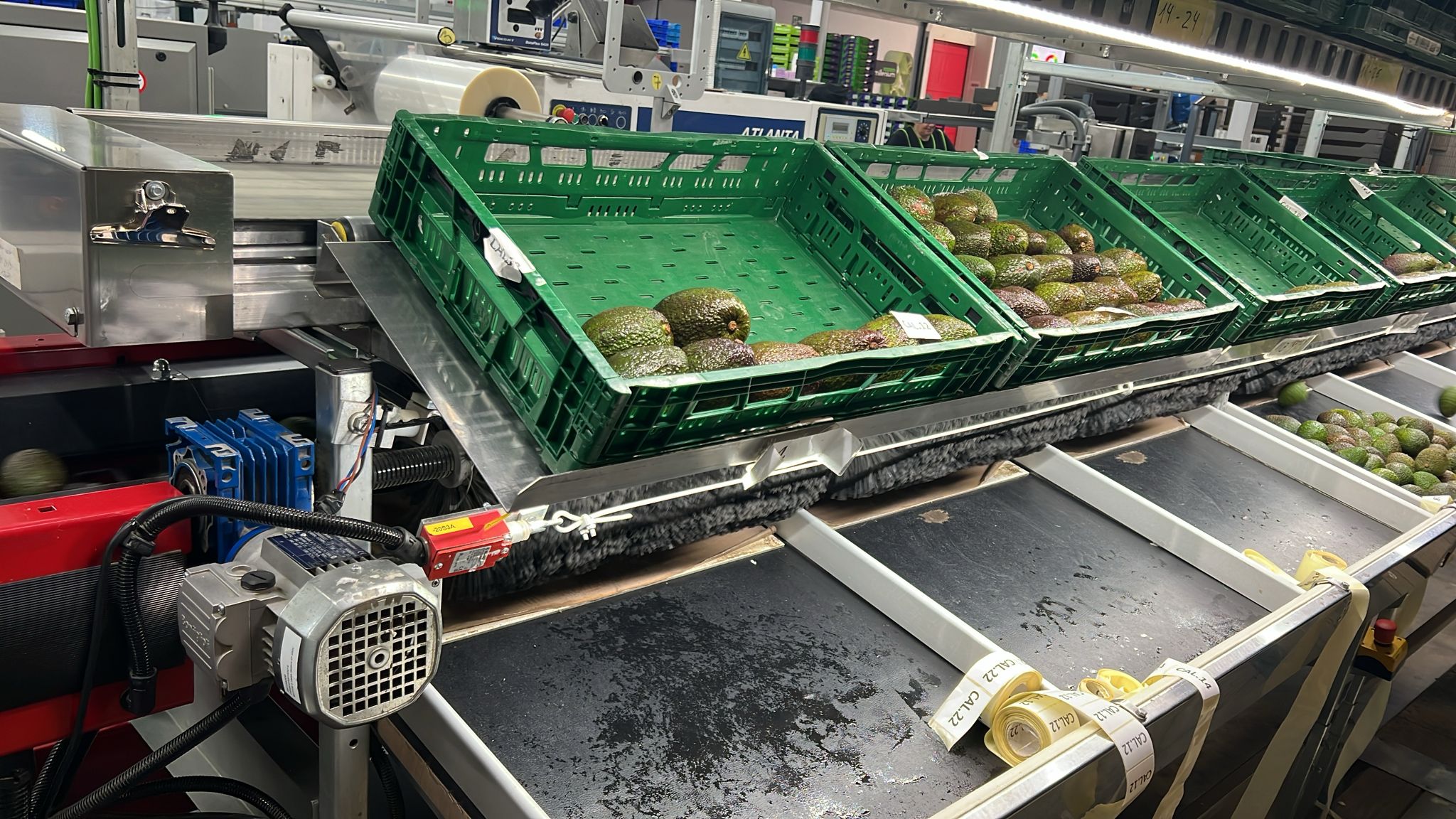 Alimentateur AWETA AWETA 1 WAY ROLLESTAR POUR AVOCAT
