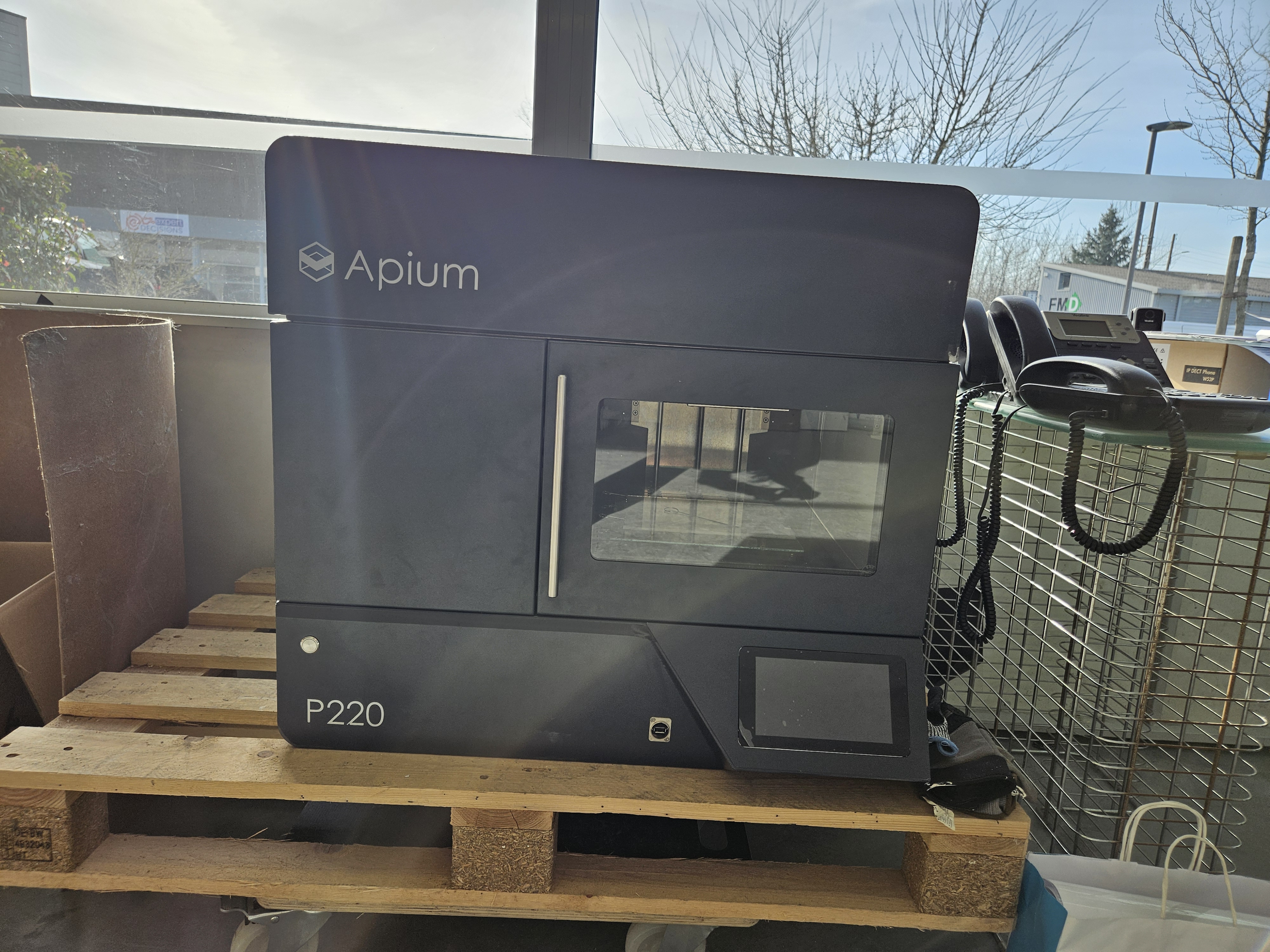 Imprimante 3D Apium P220