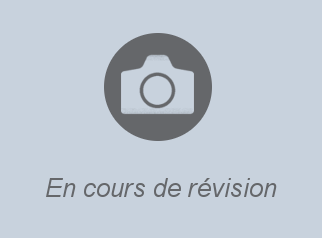Machine de manutention Hangcha CDD14-XT1-SiL