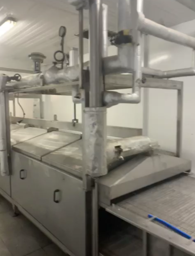 Machine de découpe, lavage et blanchiment de fruits et légumes İtalpast Blanching Line